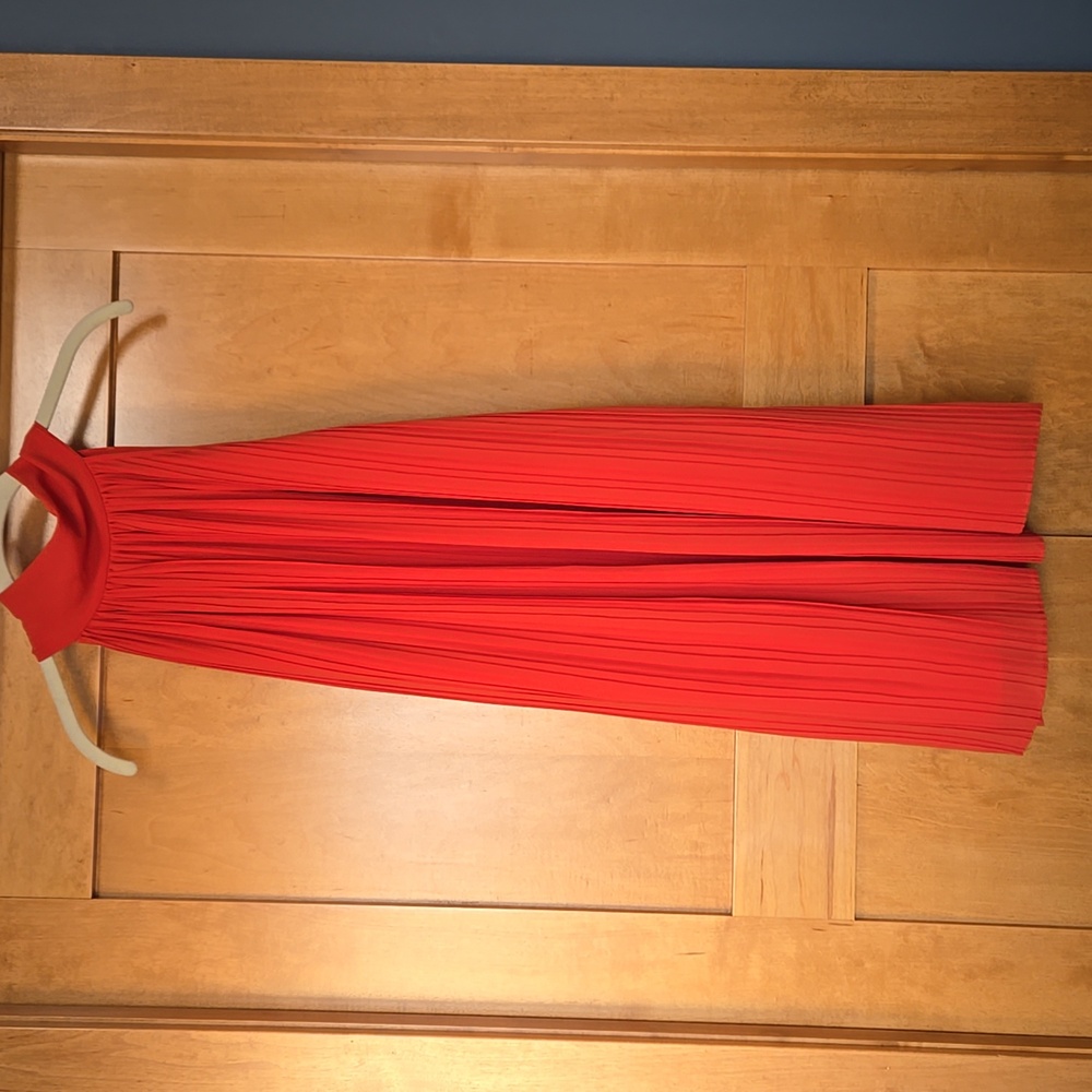Naked Zebra Orange Dress